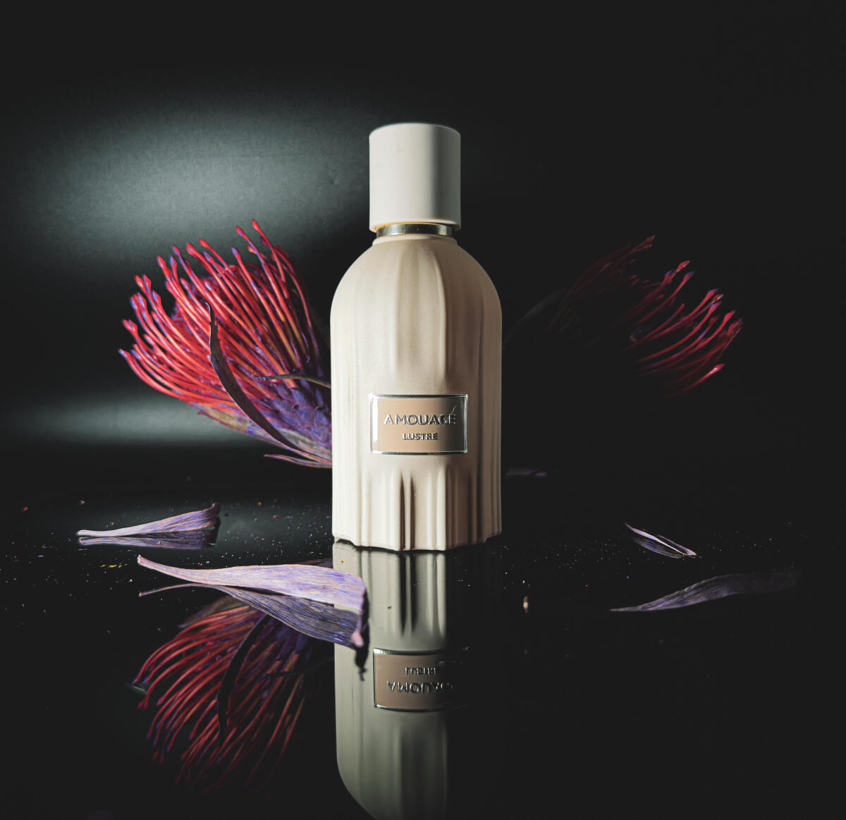 Amouage Royal Collection Jubil - Perfume Royal Fragrance recensione e prezzo