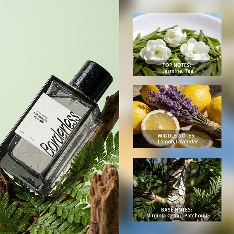 Luxury Borderless Men Perfume  - Perfume Fragrance Long Lasting recensione e prezzo